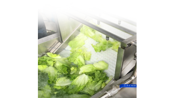 vegetable washing machine 