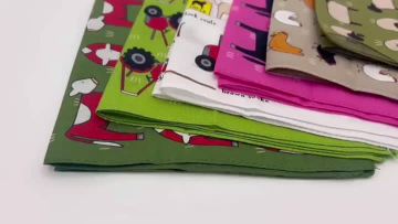 absorbent dish towel