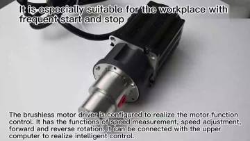 0.30cc Gear pump
