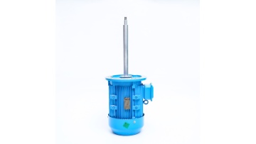  Chemical pump long shaft motor