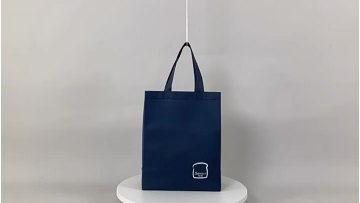 Non Woven Shopping Bag