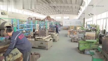 Mold.mp4