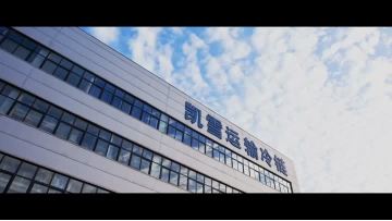 Company Profile