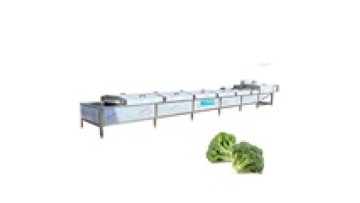 Customized Salad Production Line - Vegetable Blancher & Broccoli Blanching Machine1