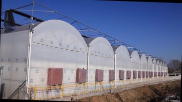Agricultural greenhouse hydroponics farm with hydroponic growing system for capsicum1