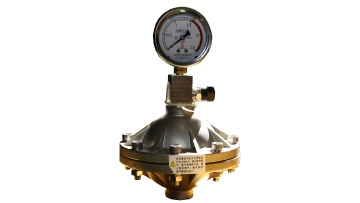 Pulsation Damper
