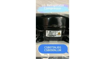 lg refrigerator compressor csb075