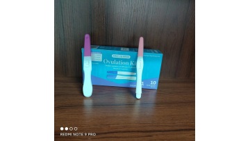 LH Ovulation Midstream 2
