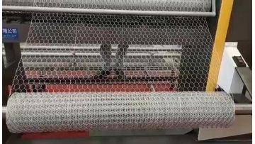 Hot Dipped Galvanized PVC Coated Hexagonal wire netting plastic Chicken Wire Mesh1