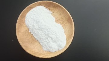 Garlic Extract Powder 10% Allicin