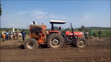 ridging type cassava planter