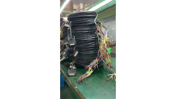 Customized Wire Harness for Vehicle