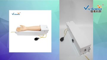 Arterial Arm Stick Kit Model