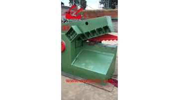 alligator shear 2