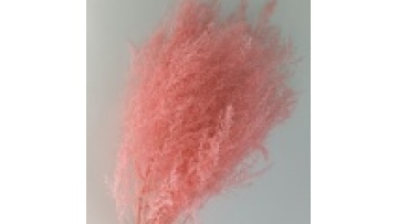 Natural Dried Flowers Artemisia Oryzae - Perfect for Home, Wedding, and Party Decor1