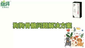 Pet Joint and Bone Supplements dog