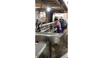 fish production line