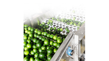 Citrus Sorting Machine
