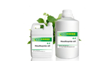 Wholesale Houttuynia Cordata Essential Oil at Low Prices1