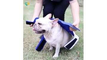 dog jacket canada