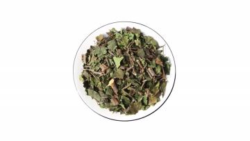 Mulberry Mistletoe