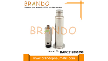 Armature For Joil Pulse Valve