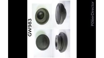Video for GW0983