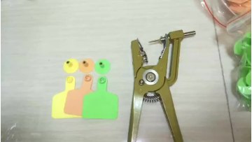 72*64  plastic TPU Visual animal ear tag for manage livestock animal1
