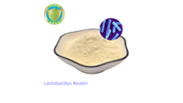 Wholesale Healthcare Supplements: Lactobacillus Reuteri for Women's Vaginal Health1