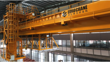 Eurocrane Metallurgical Cranes in Action | Customer Application Videos