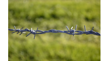 high quality length per roll galvanized staples barbed wire for sale1