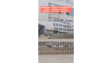 Video 46