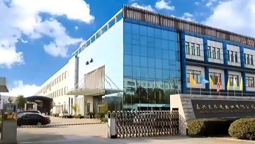 Factory of Lion paper