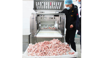 Frozen Meat Cutting
