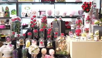 Preserved Flower Glass Dome