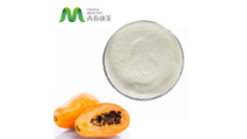 Food Grade Papain Enzyme Extract Powder Tenderizer for Meat1
