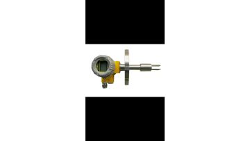 Tuning fork level switch