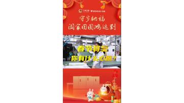 Spring Festival wish