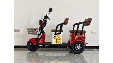 Electric three wheeled scooter