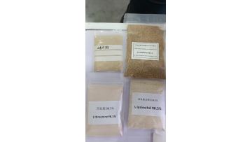 sample for nanjing viv 2024