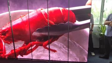 poster mirror led screen