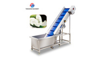TS-T30A Industrial Vegetable and Fruit Citrus Passion Fruit Pre-foaming Elevator Machine1