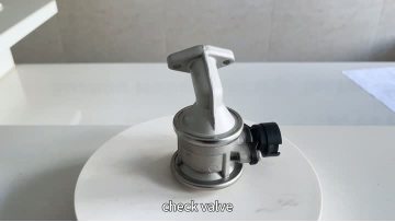 9005 Air Injection Check Valve