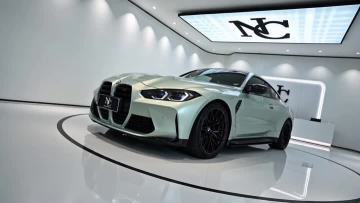 PL78-P Platinum Mica Green Car Wrap