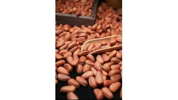 280g Deep Frying Open Pine Nuts