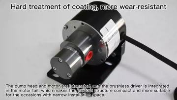 0.30cc Integral gear pump