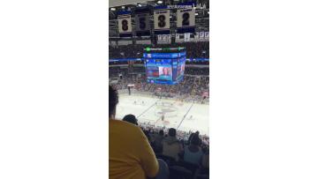 Sports arena LED screen