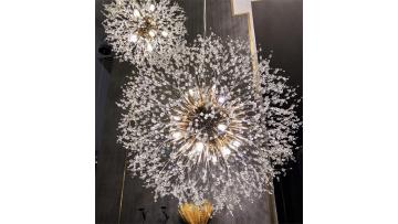 Hot Sale Dandelion Pendant Light