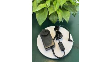 12V 2.5A 30W DC power supply