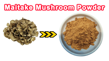 Maitake Mushroom Extract
